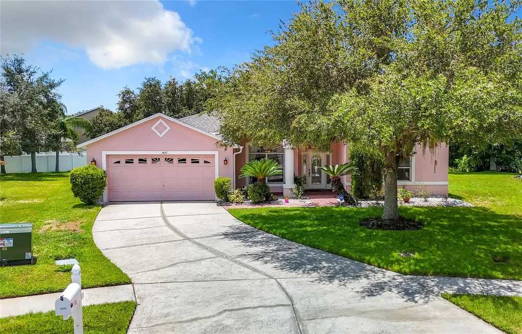 3447 Cedar Plains Court Land O Lakes FL 34639