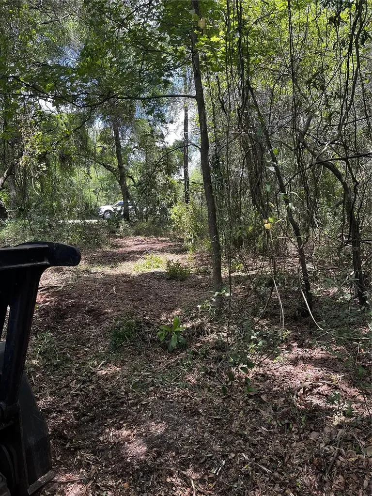 9532 E Peachtree Lane Inverness FL 34453