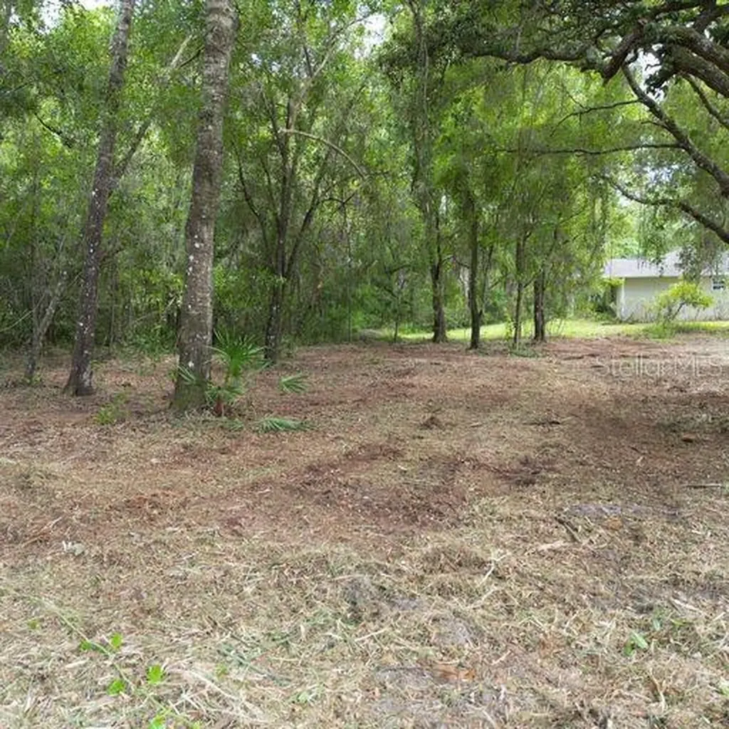 9532 E Peachtree Lane Inverness FL 34453