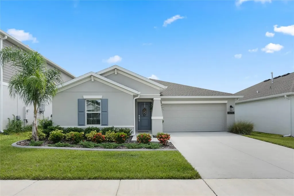 26062 Bristleleaf Court Leesburg FL 34748