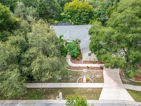 12204 Bass Oak Court Riverview FL 33569