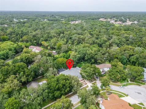 12204 Bass Oak Court Riverview FL 33569
