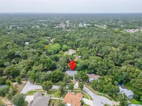 12204 Bass Oak Court Riverview FL 33569