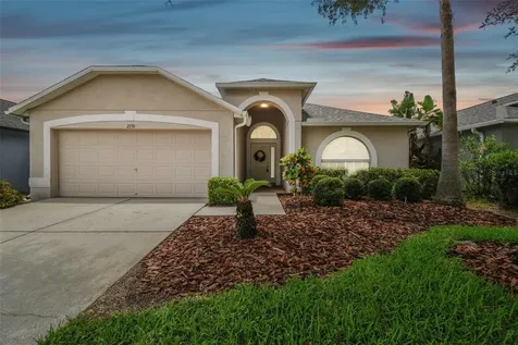 2739 Butterfly Landing Drive Land O Lakes FL 34638