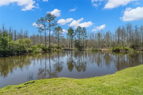21744 Violet Periwinkle Drive Land O Lakes FL 34637