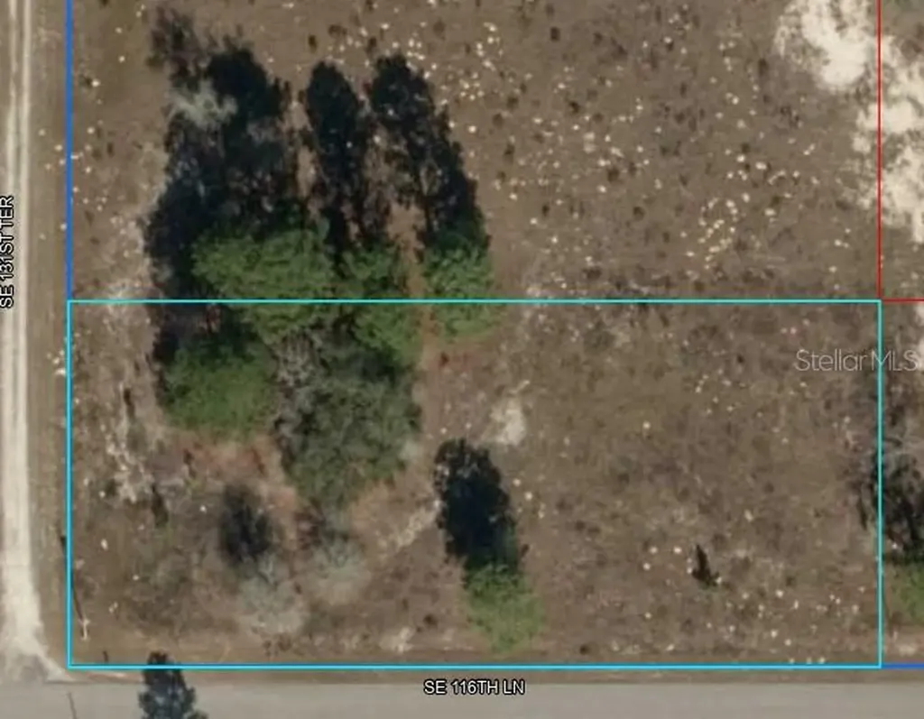 SE 116 Lane Dunnellon FL 34431