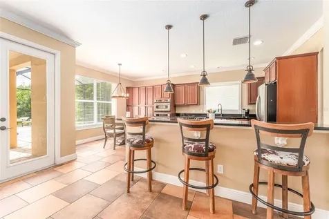 15719 Ibisridge Drive Lithia FL 33547
