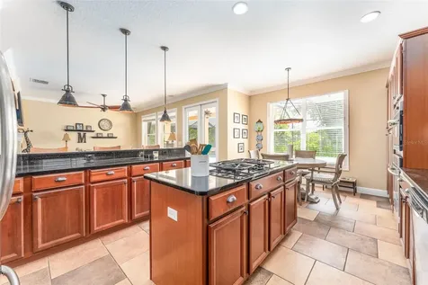 15719 Ibisridge Drive Lithia FL 33547