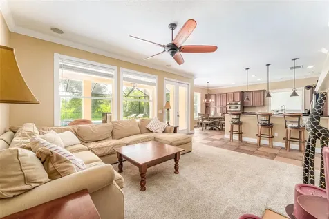 15719 Ibisridge Drive Lithia FL 33547