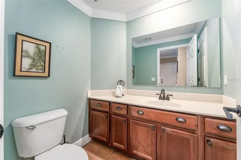 15719 Ibisridge Drive Lithia FL 33547