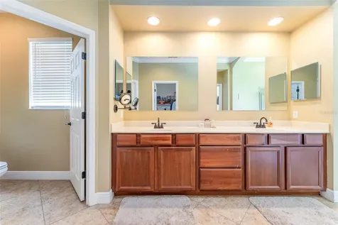 15719 Ibisridge Drive Lithia FL 33547