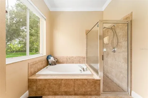15719 Ibisridge Drive Lithia FL 33547