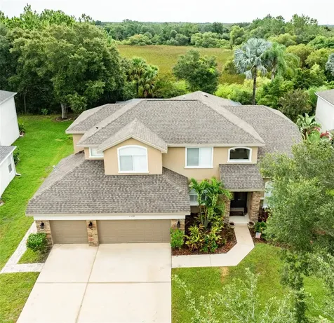 15719 Ibisridge Drive Lithia FL 33547