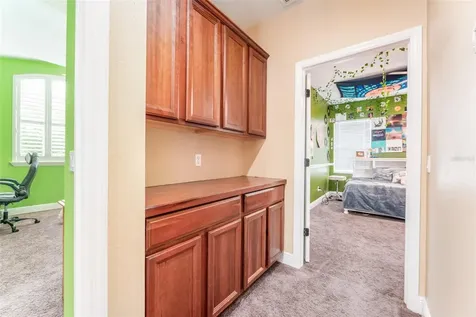 15719 Ibisridge Drive Lithia FL 33547