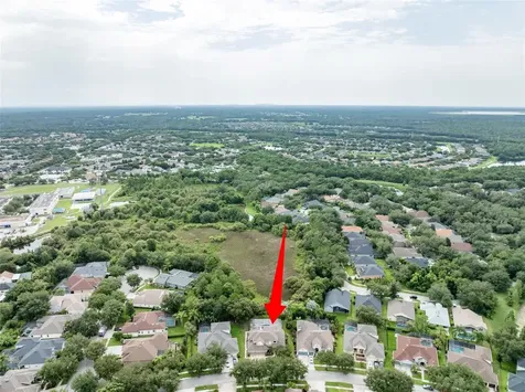 15719 Ibisridge Drive Lithia FL 33547