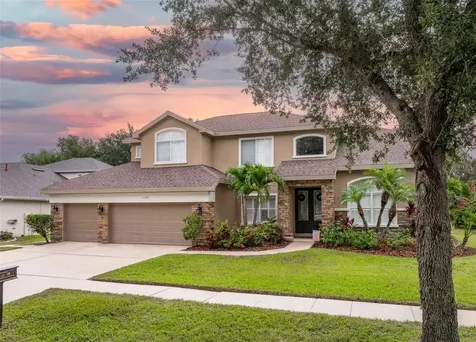 15719 Ibisridge Drive Lithia FL 33547
