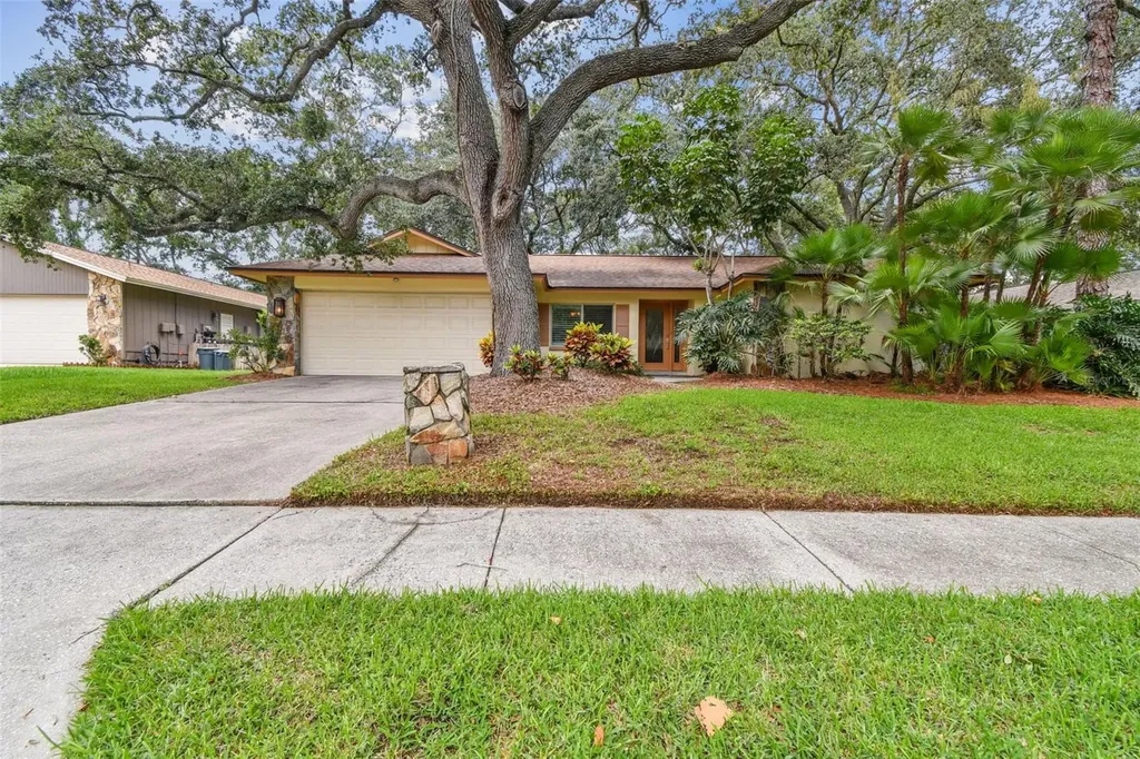 5 Fernery Lane Safety Harbor FL 34695