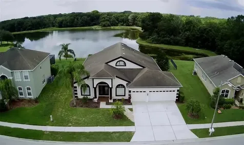 7738 Crescent Palm Drive Wesley Chapel FL 33545