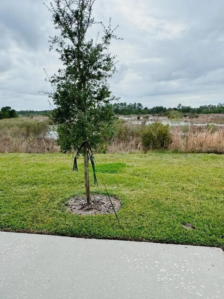 1838 Sanibel Drive Davenport FL 33896