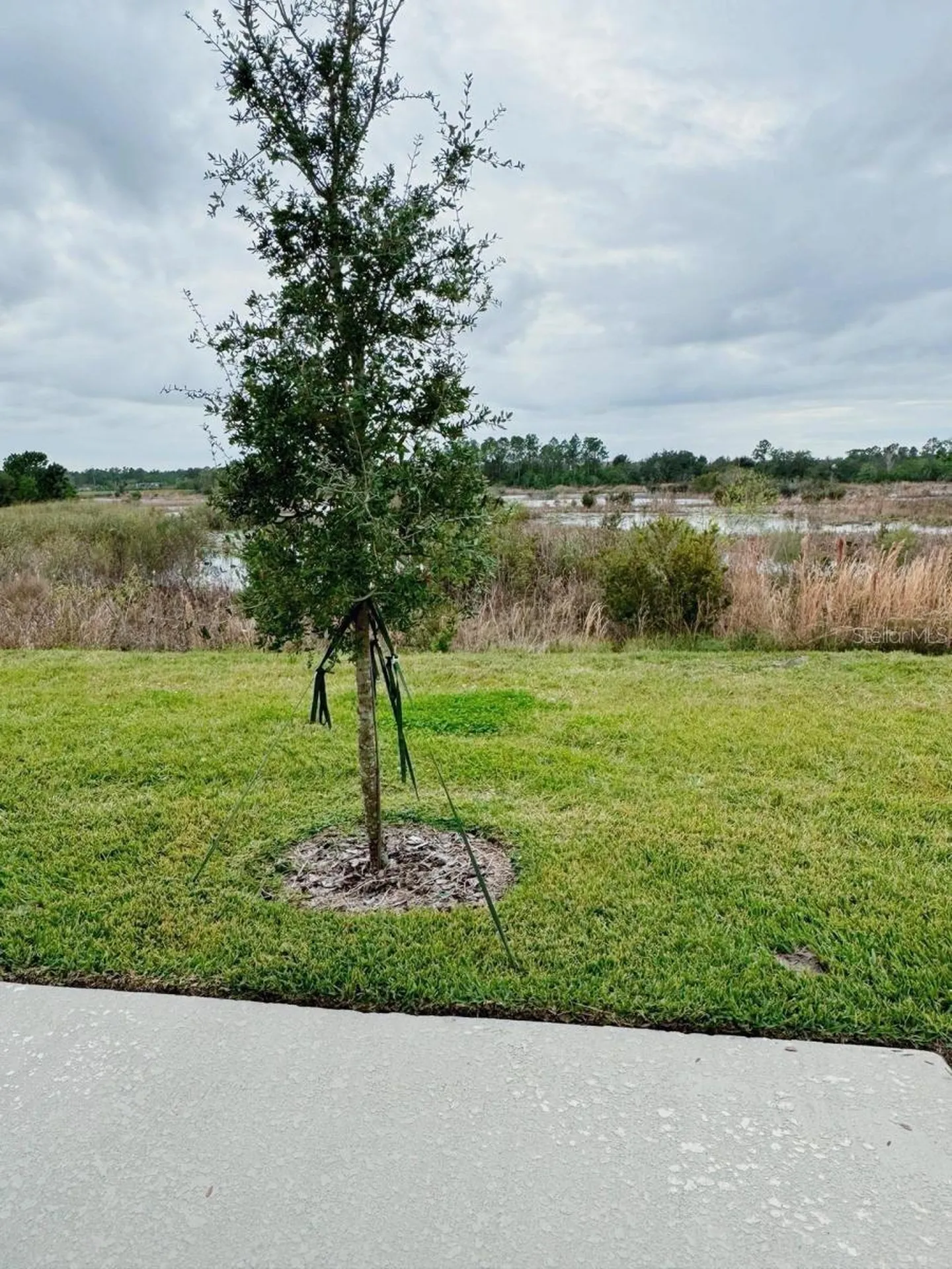 1838 Sanibel Drive Davenport FL 33896