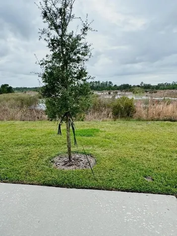 1838 Sanibel Drive Davenport FL 33896