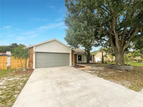 1015 Cameo Crest Lane Valrico FL 33596