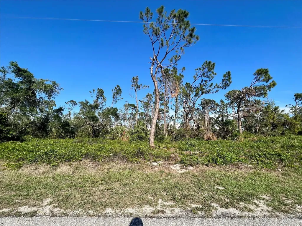 2110 Tea Street Port Charlotte FL 33948
