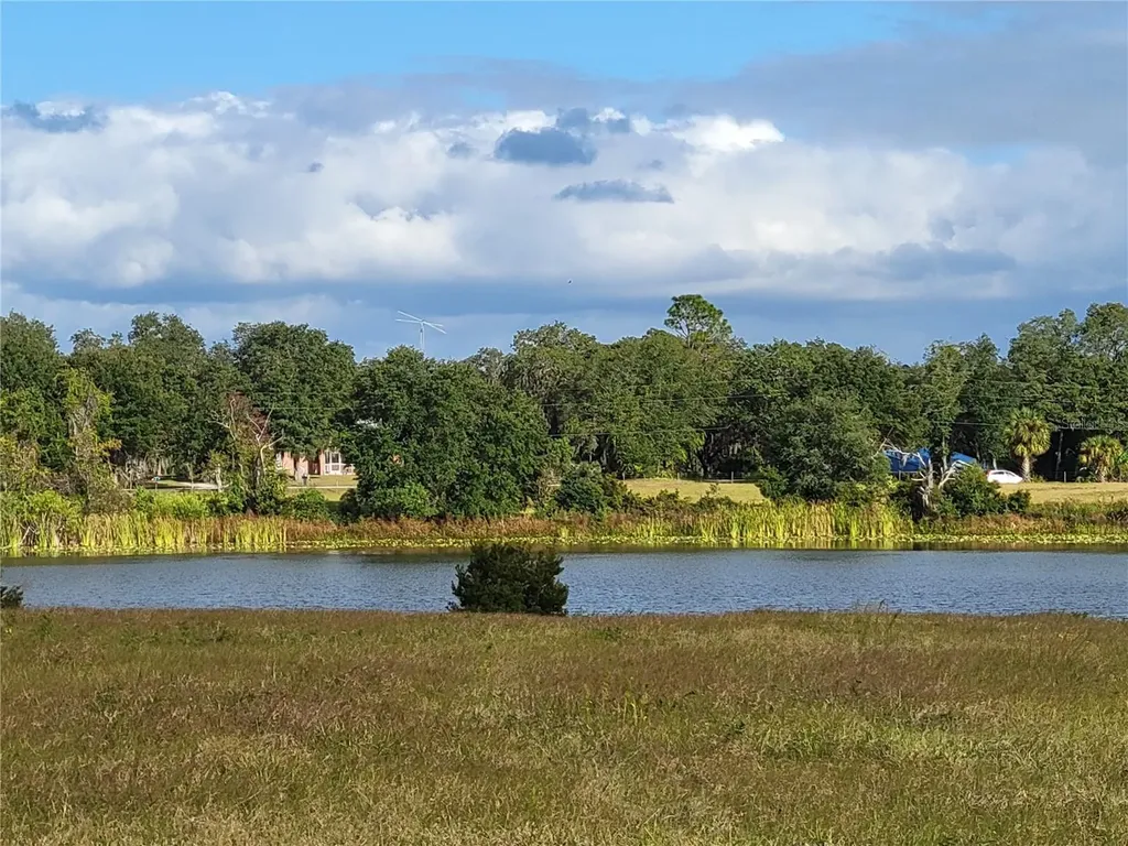 Tbd SE 170 Avenue Road Ocklawaha FL 32179
