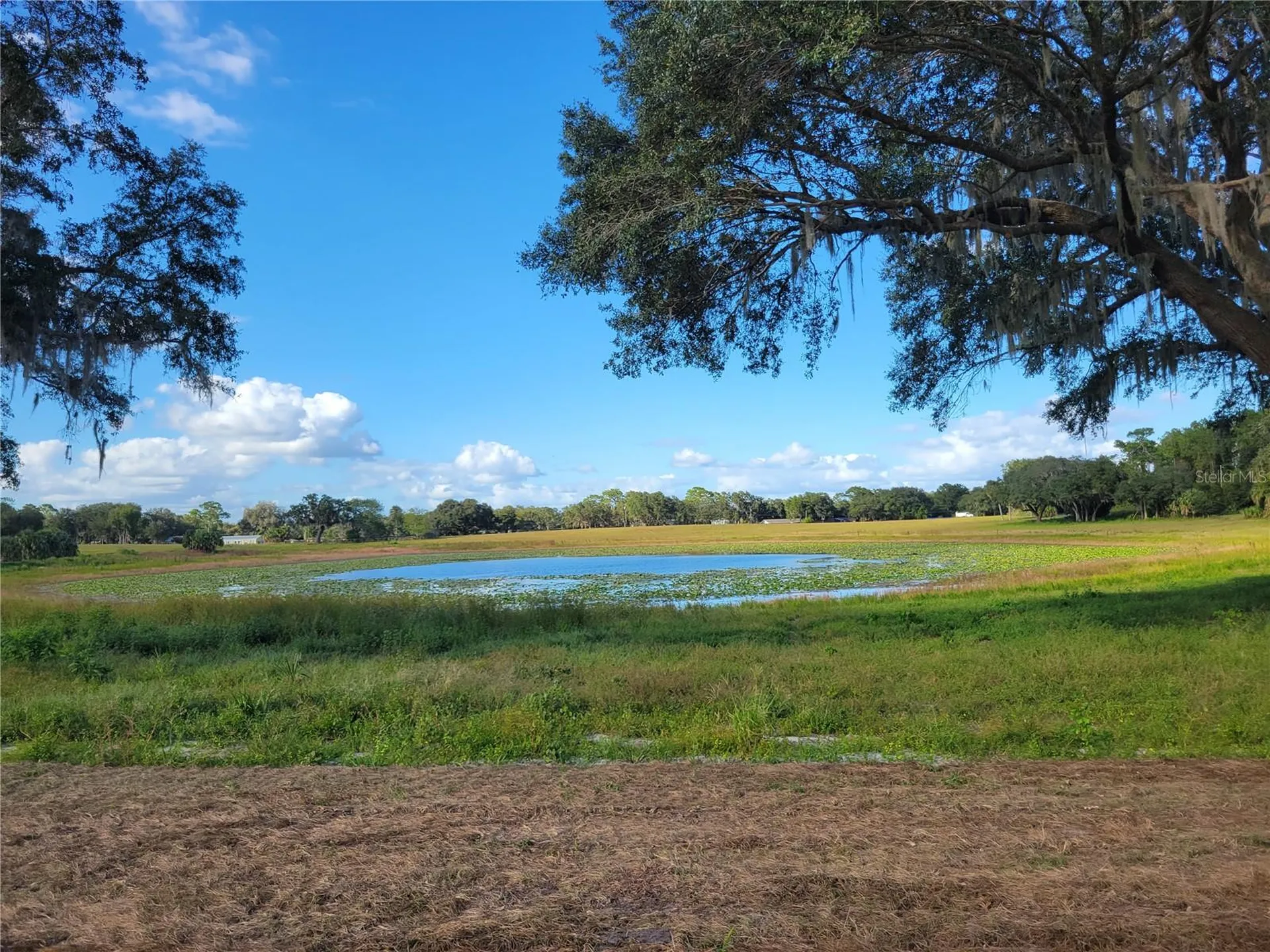 Tbd SE 170 Avenue Road Ocklawaha FL 32179