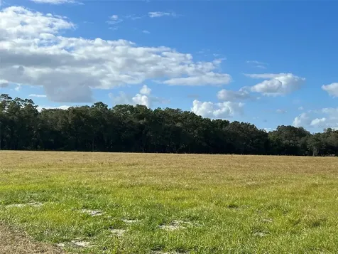 Tbd SE 170 Avenue Road Ocklawaha FL 32179