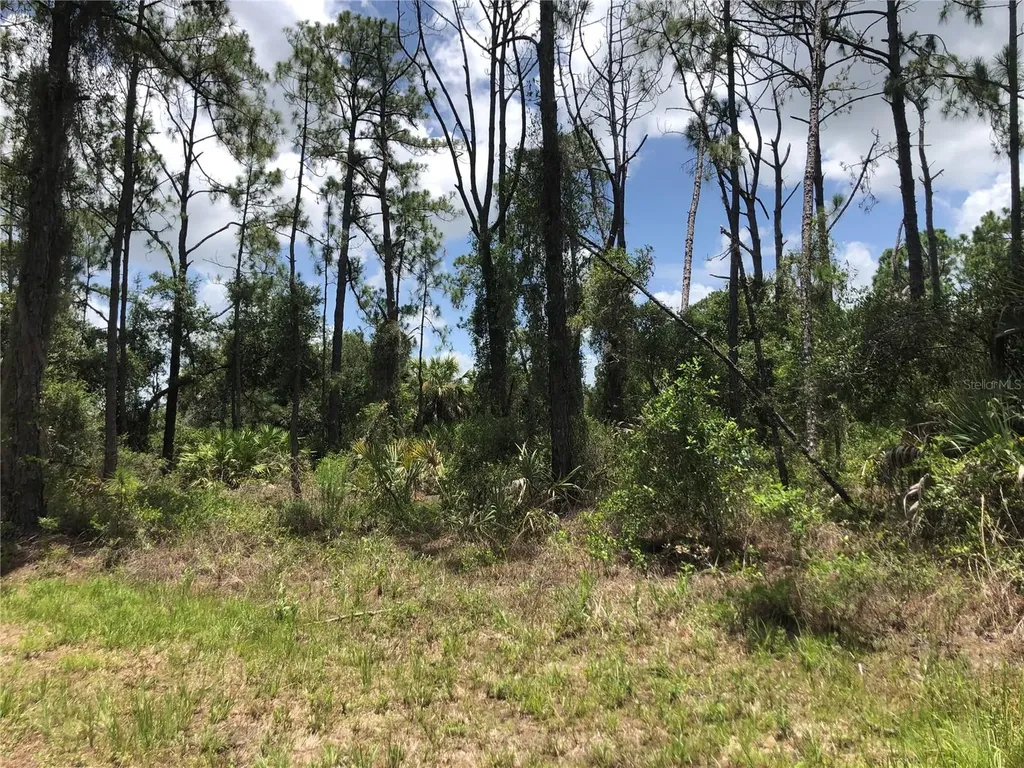 Apricola Road North Port FL 34286