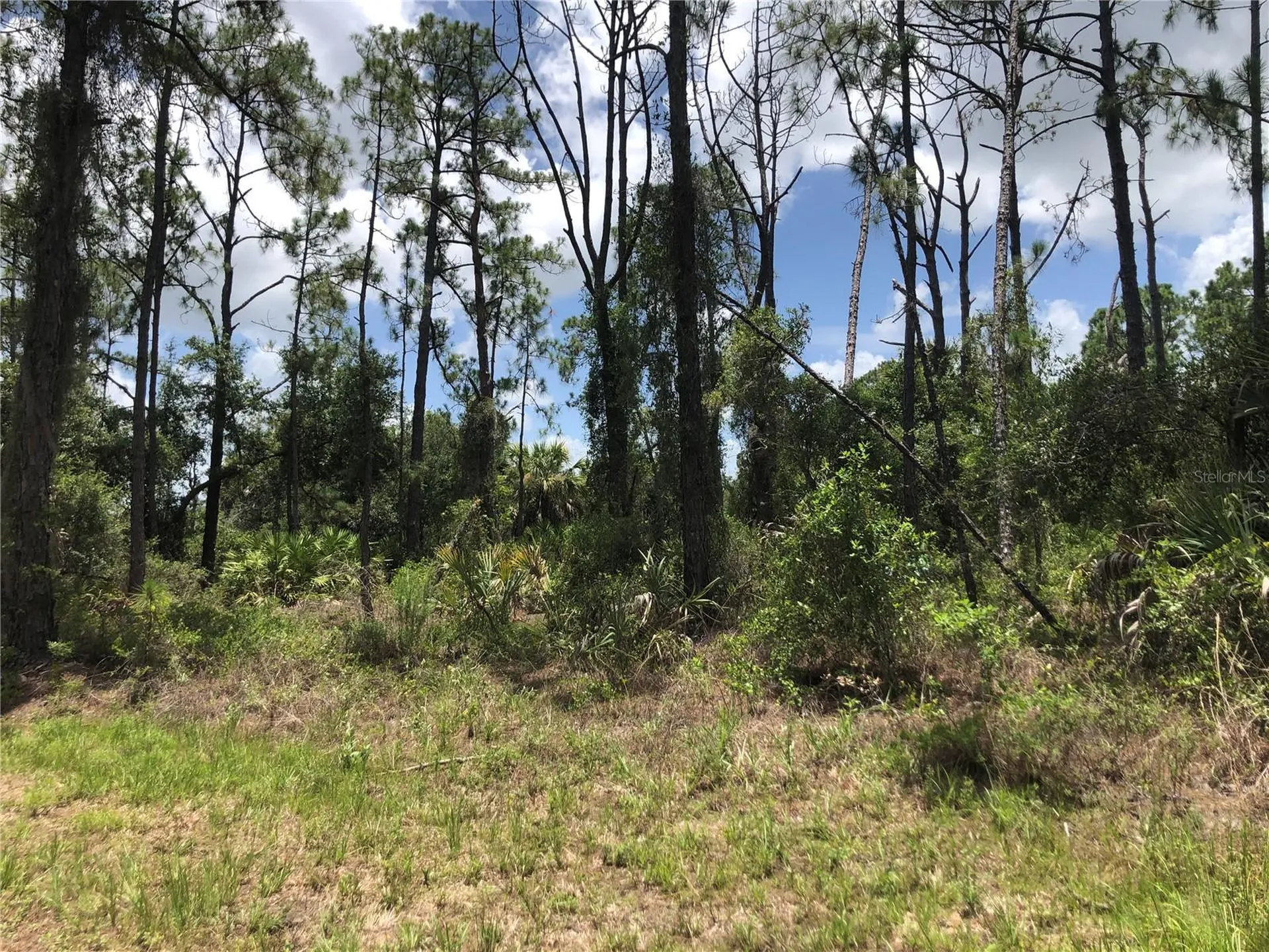 Apricola Road North Port FL 34286