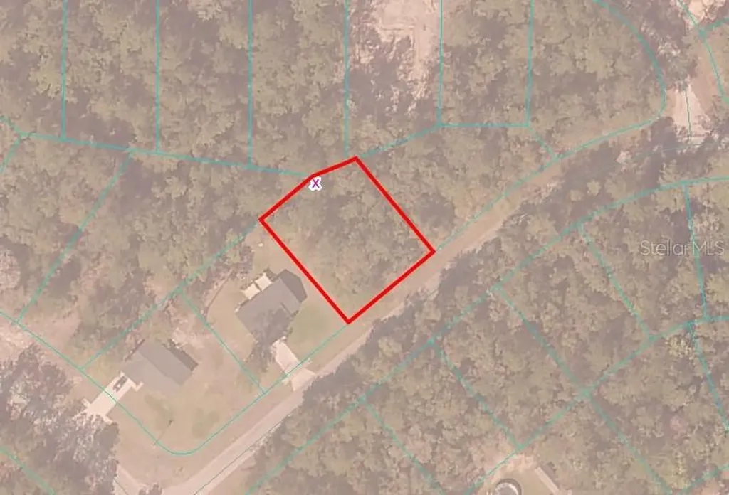 Sequoia Drive Ocklawaha FL 32179