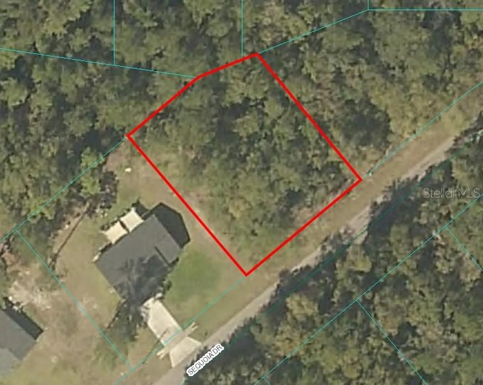 Sequoia Drive Ocklawaha FL 32179