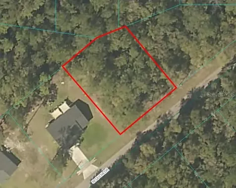 Sequoia Drive Ocklawaha FL 32179