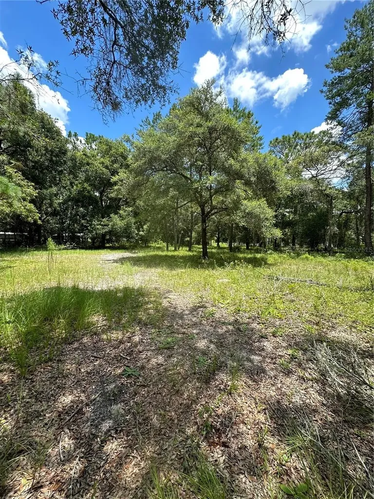 18223 Rigsby Road Spring Hill FL 34610
