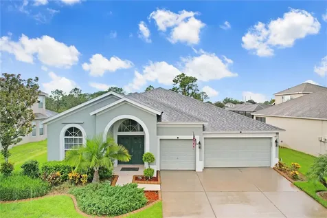 3511 Juneberry Drive Wesley Chapel FL 33543