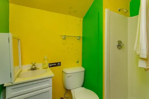 237 W 4th Avenue Mount Dora FL 32757