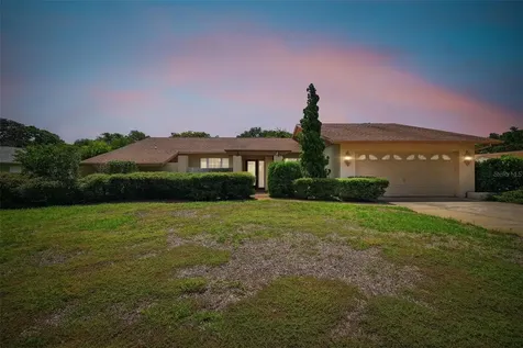10 Woodcutter Court Palm Harbor FL 34683