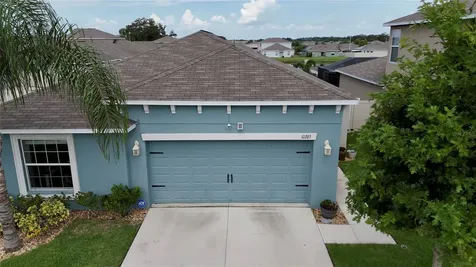 10263 Strawberry Tetra Drive Riverview FL 33578