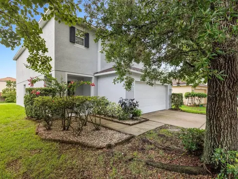 18933 Sunterra Drive Land O Lakes FL 34638