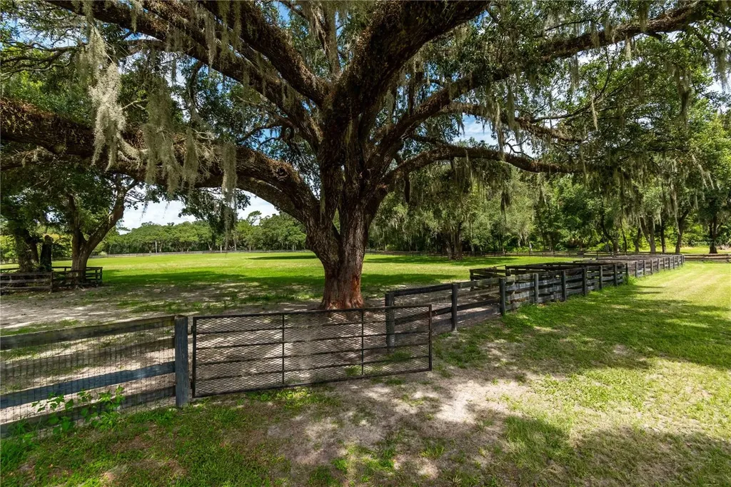 12500 NW 100th Street Ocala FL 34482