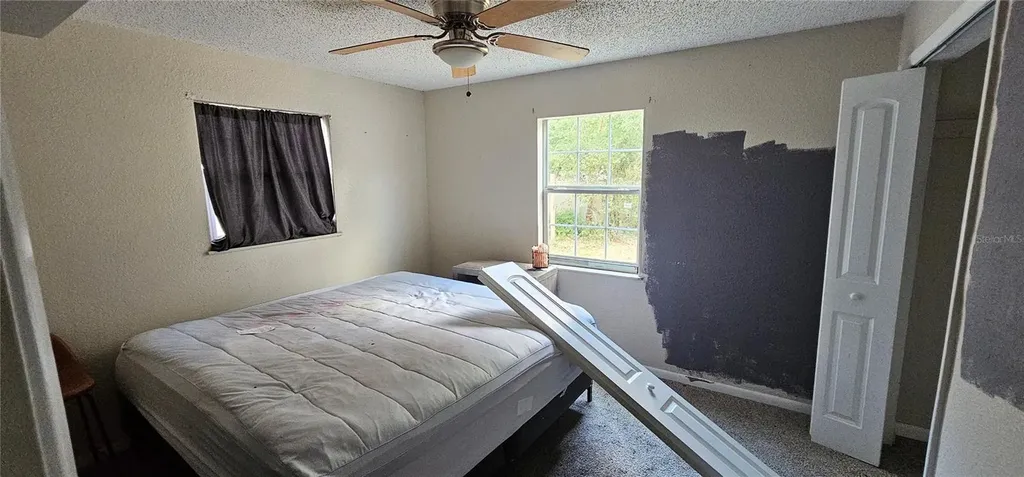 4375 Lindsey Loop Dover FL 33527