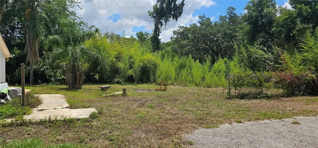 4375 Lindsey Loop Dover FL 33527
