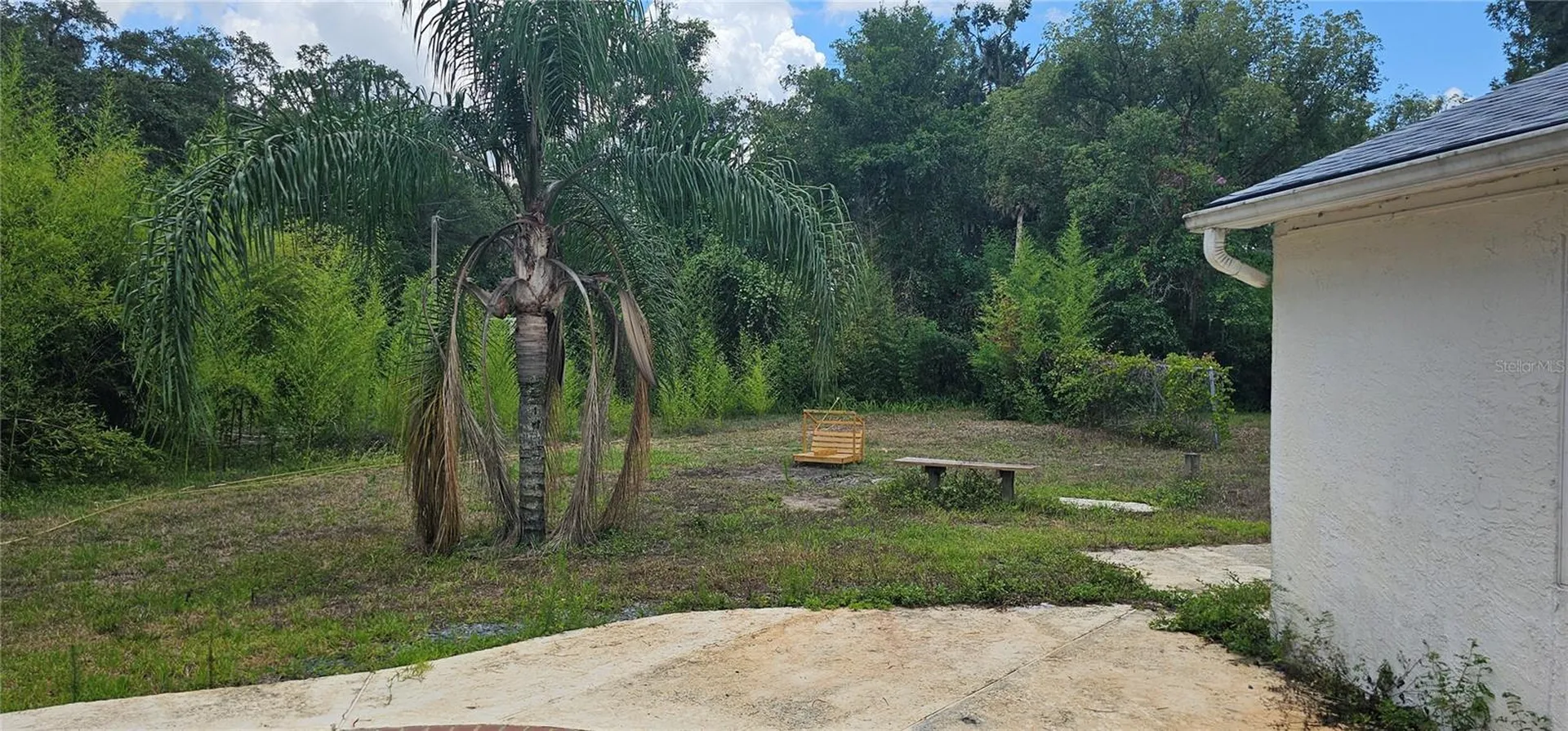 4375 Lindsey Loop Dover FL 33527