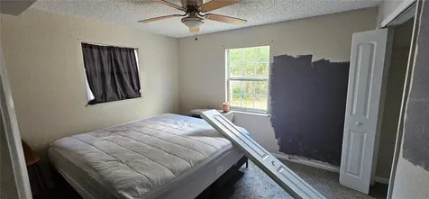 4375 Lindsey Loop Dover FL 33527