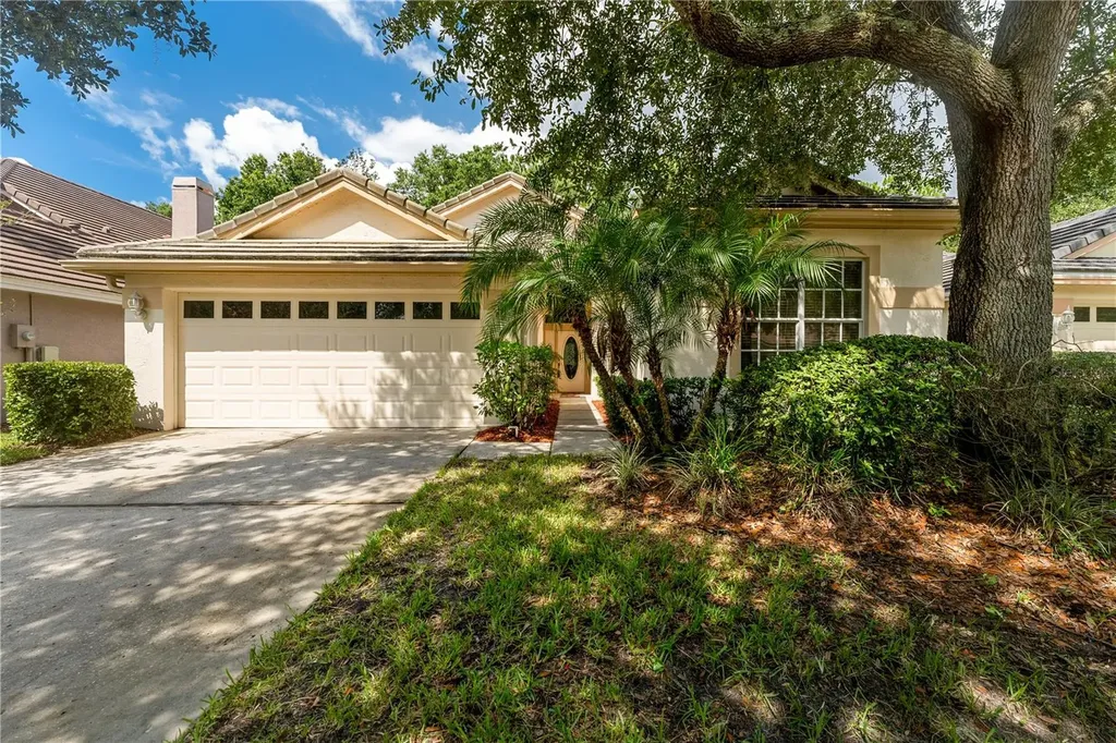 17710 Nathans Drive Tampa FL 33647