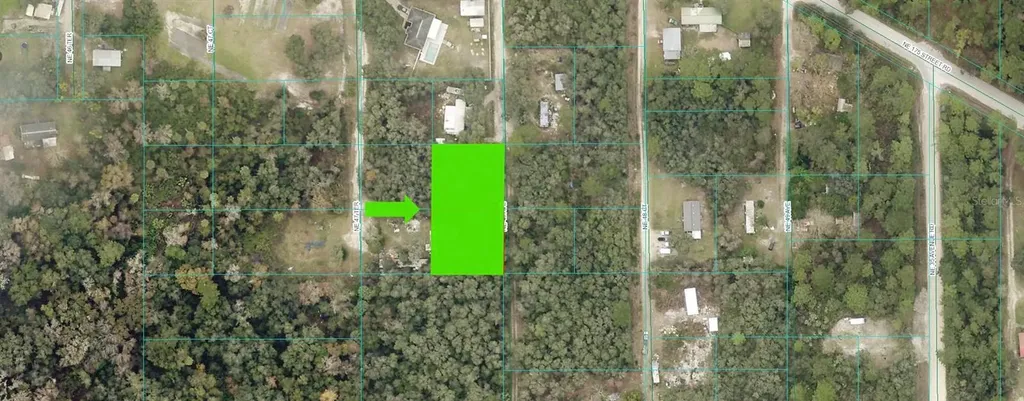 NE 48th Avenue Citra FL 32113