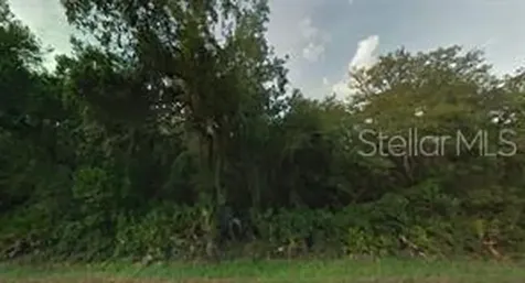 NE 48th Avenue Citra FL 32113