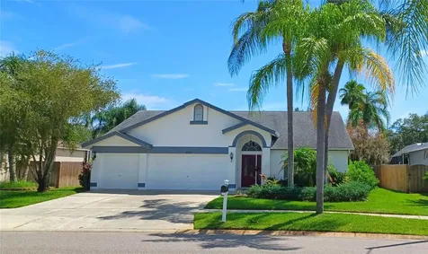 11326 Bloomington Drive Tampa FL 33635